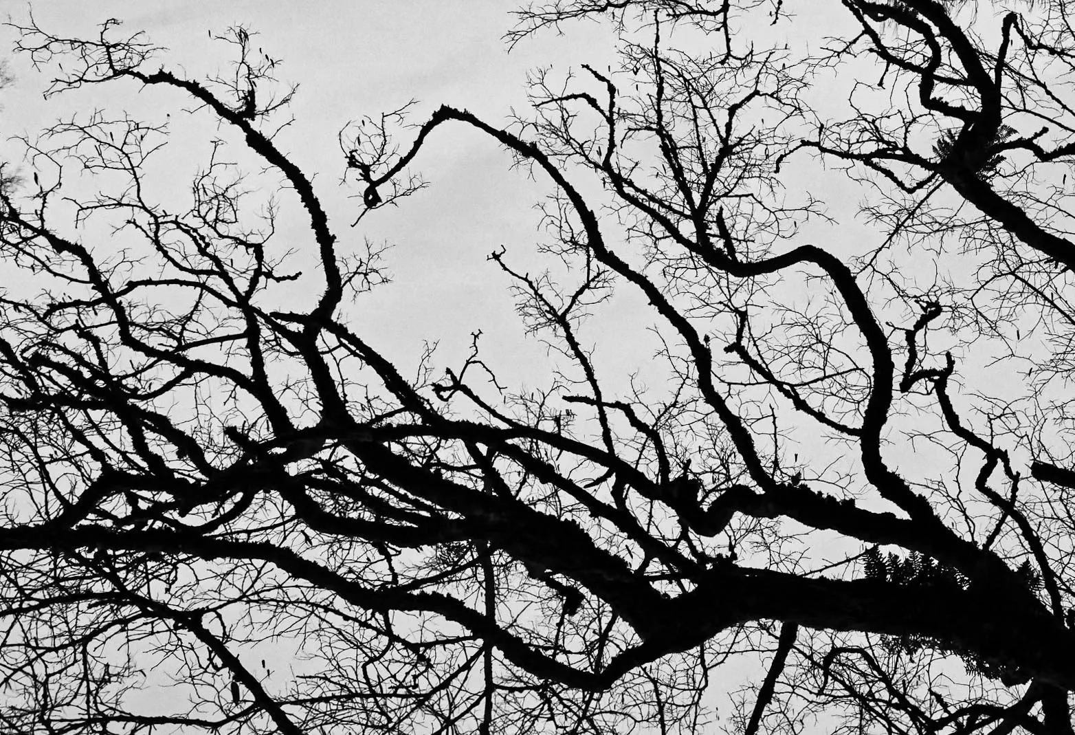 Nature 03